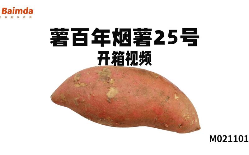 南宁烟薯25号批发价格（南宁烟草价格表）